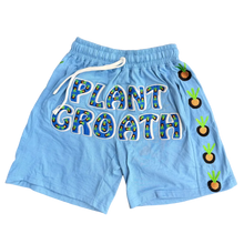 Load image into Gallery viewer, A light blue children's matching outfit laid flat on a brown carpet, featuring a cropped zip-up top at the top and shorts in the center with 'PLANT GROATH' in colorful letters and pineapple graphics along the side.